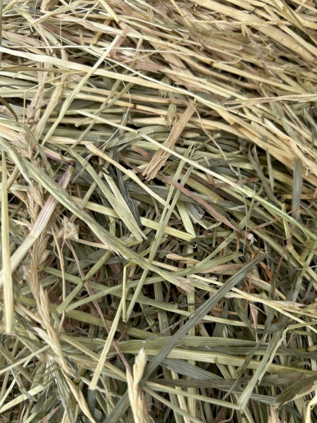 Ryegrass Hay