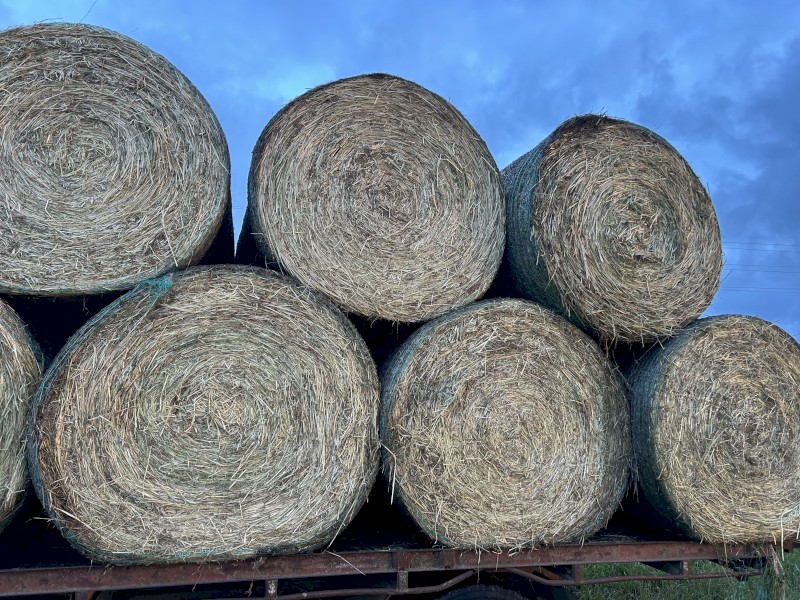 200 x Ryegrass Hay 5x4 Rolls