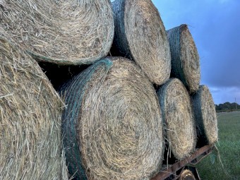 Ryegrass Hay