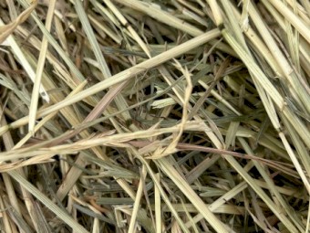 Ryegrass Hay
