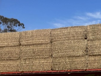 Vetch Hay 2023/24 Season