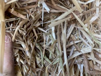 90mt Oaten Straw 8x4x3 Bales
