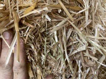 90mt Oaten Straw 8x4x3 Bales