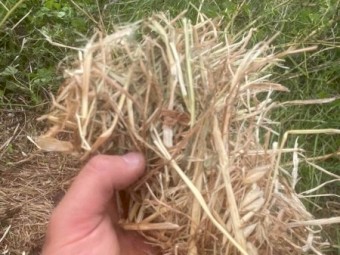 120 x Oaten Hay 5.6' x 4ft Round Bales