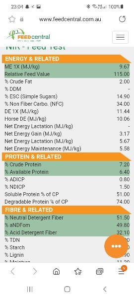200mt Oaten Hay 620kg 8x4x3 Bales