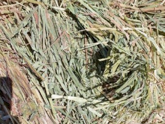 200mt Oaten Hay 620kg 8x4x3 Bales