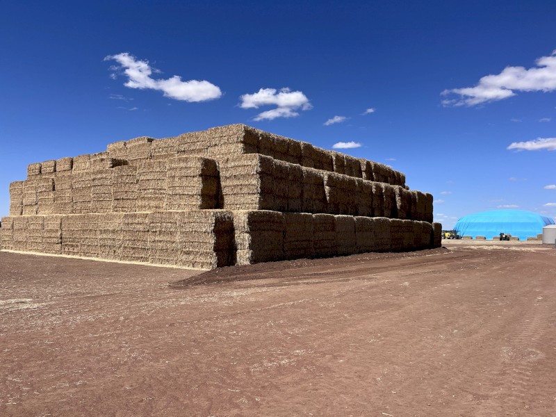 Wheaten Hay for sale 