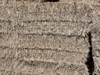 Wheaten Hay for sale 