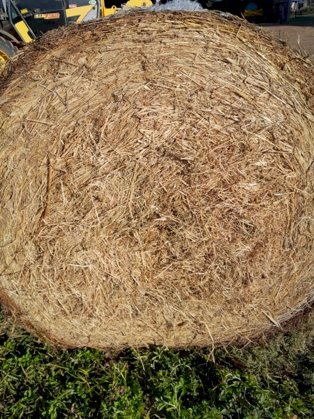 250 x Grassy Round Bales