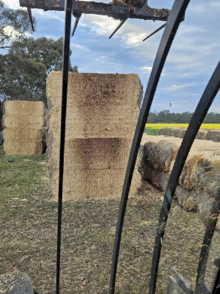 Barley Straw 8x4x3 Bales