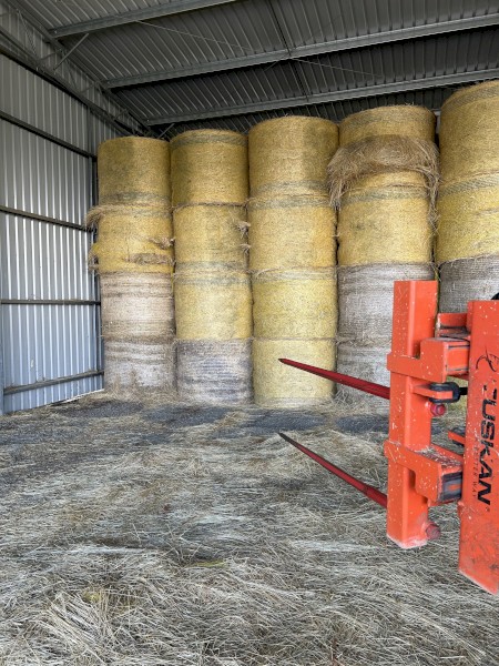 Pasture Hay Excellent Quality 5 x 4 Shedded
