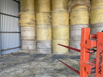 Pasture Hay Excellent Quality 5 x 4 Shedded