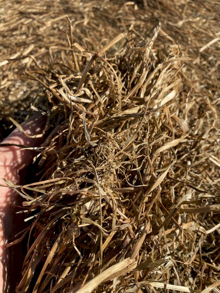 Ryegrass Silage - A2 - 93 bales