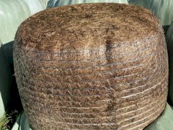 Ryegrass Silage - A2 - 93 bales