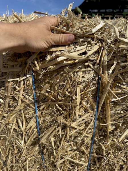 1000mt Wheaten Straw 8x4x3 Bales