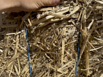 1000mt Wheaten Straw 8x4x3 Bales