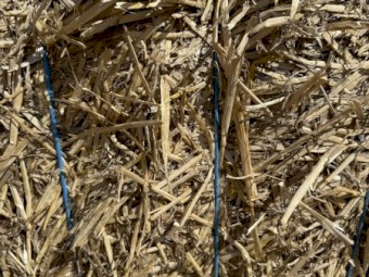 1000mt Wheaten Straw 8x4x3 Bales