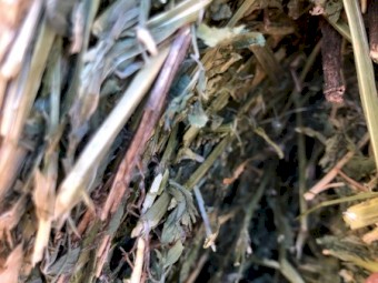 80 x Lucerne Hay 540kg 8x4x3 Bales