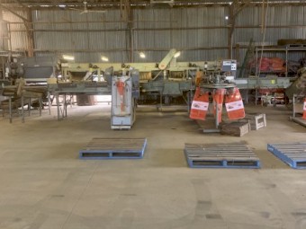 EDP vegetable sorting and packing line