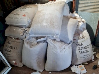 Brand new certified jumbo 2 seed