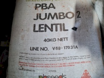 Brand new certified jumbo 2 seed