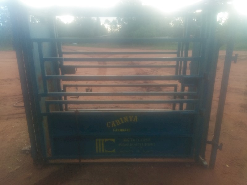 Metalcorp Cattle Crush