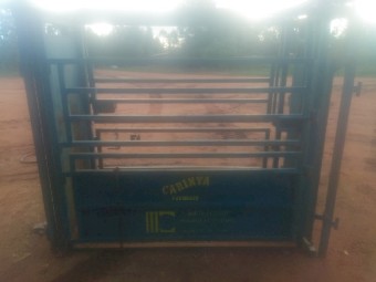 Metalcorp Cattle Crush