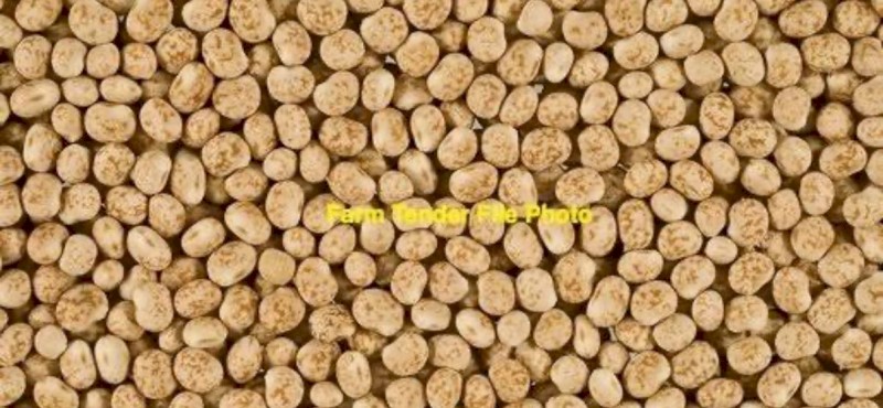 WANTED Narrow Leaf Lupins