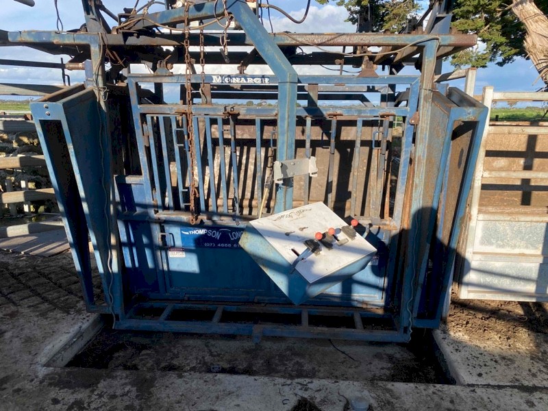 Thomson Longhorn Cattle crush