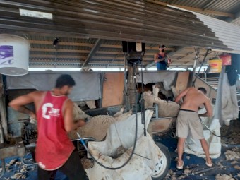 Perkinz 3 Stand Crutching Trailer