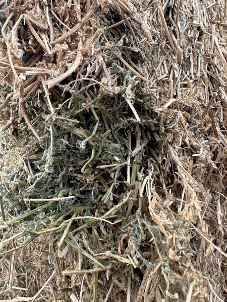 200mt Vetch Hay 8x4x3 Bales