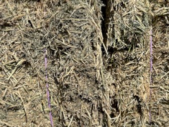 200mt Vetch Hay 8x4x3 Bales