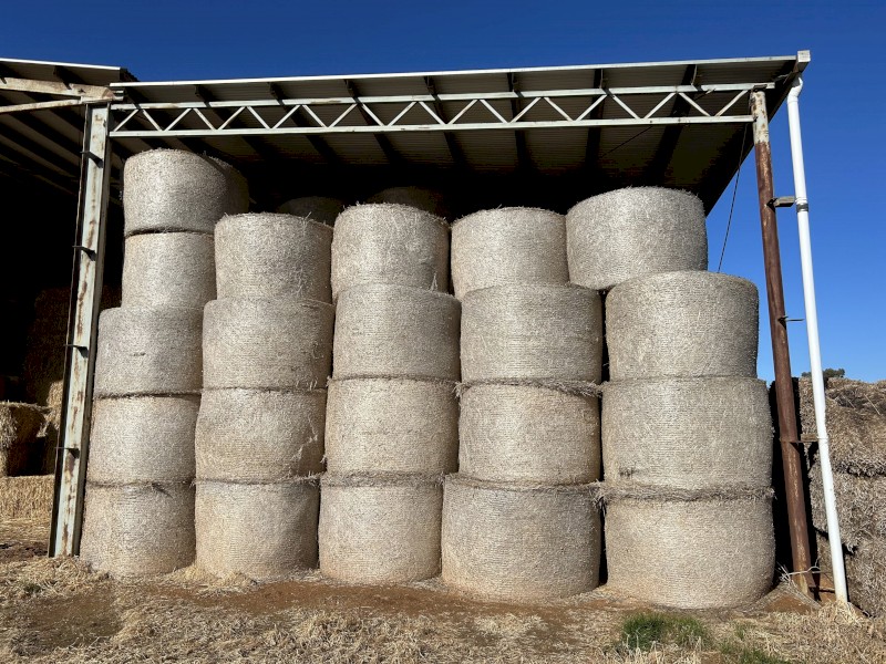 200 x Wheaten Hay 5x4 Rolls