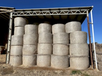 200 x Wheaten Hay 5x4 Rolls