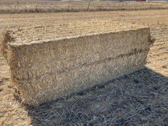 Wheaten Straw 8x4x3 Bales