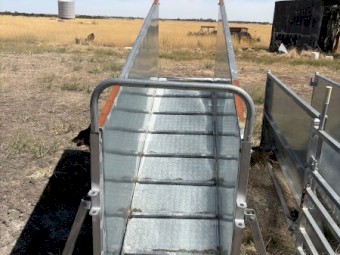 Semi Permanent Sheep Yards