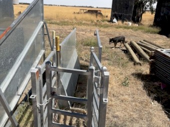 Semi Permanent Sheep Yards