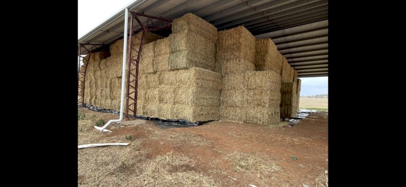 Oaten Hay 