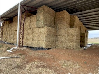 Oaten Hay 