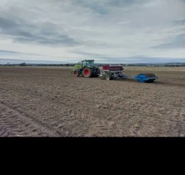 Taege 360 direct drill