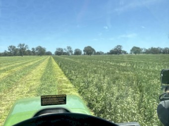 Clover/Wheaten/Rye Hay