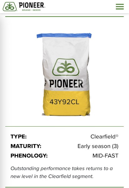 43Y92CL Pioneer Canola Seed 
