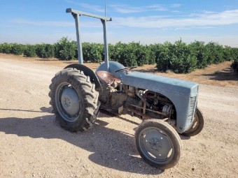 Massey ferguson te20 bin trailer tow tractor