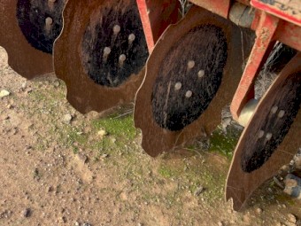 Ilgi Aragon speed tiller