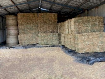6000 x Oaten Hay Small Square in Bale Baron Packs