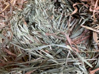 6000 x Oaten Hay Small Square in Bale Baron Packs