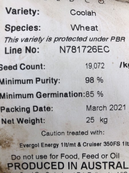Coolah wheat seed 