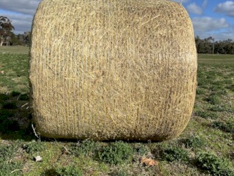 Silage