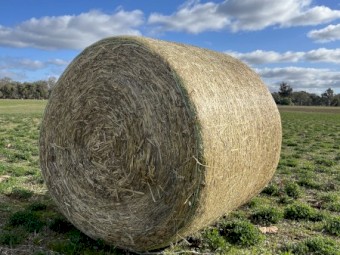 Silage