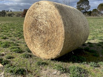 Silage